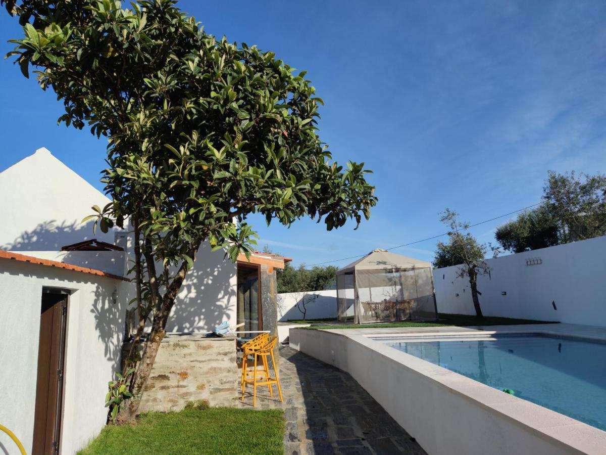 Pomar Oliveiras - Private Swimming Pool - Free Ev Chrg - Pet Friendly Villa