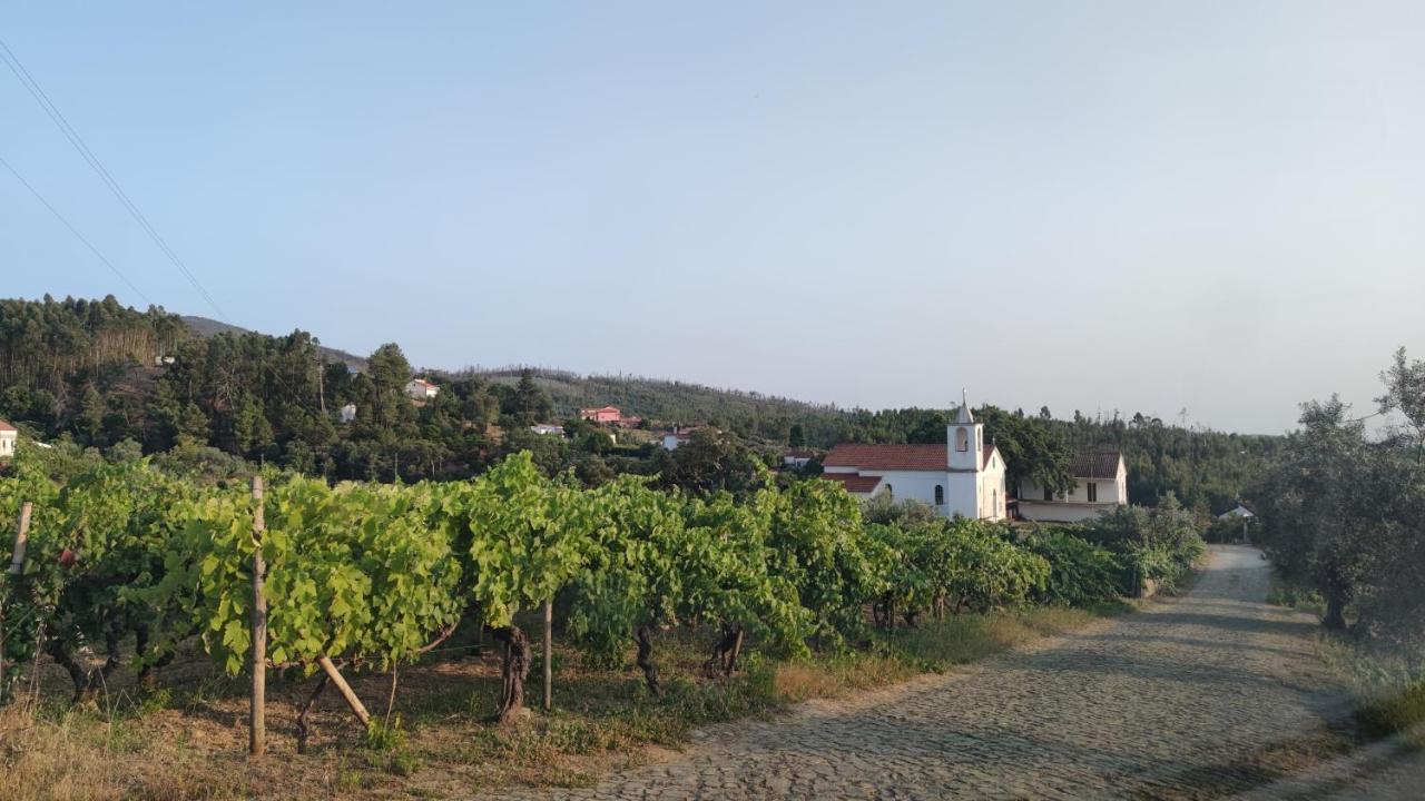 Pomar Oliveiras - Private Swimming Pool - Free Ev Chrg - Pet Friendly Villa *